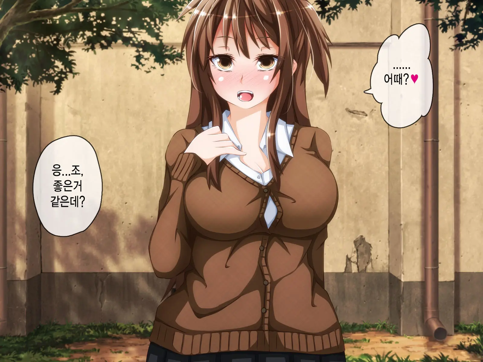 Anata No Kanojo... Netoraretemasen Ka? Kouhen | 당신의 여자친구 네토라레당하지 않으셨나요? 후편